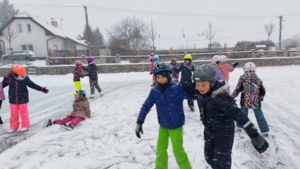 Veverky a Vlci na bruslích